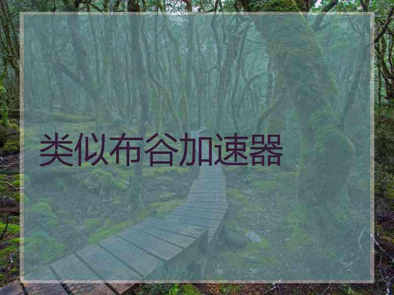 类似布谷加速器