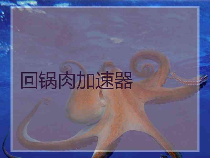 回锅肉加速器