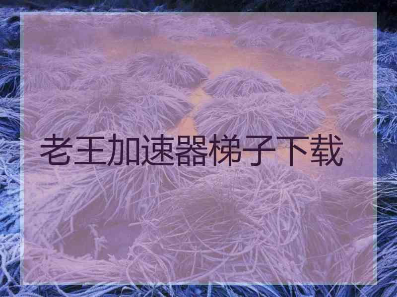 老王加速器梯子下载