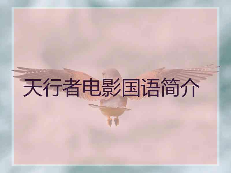 天行者电影国语简介