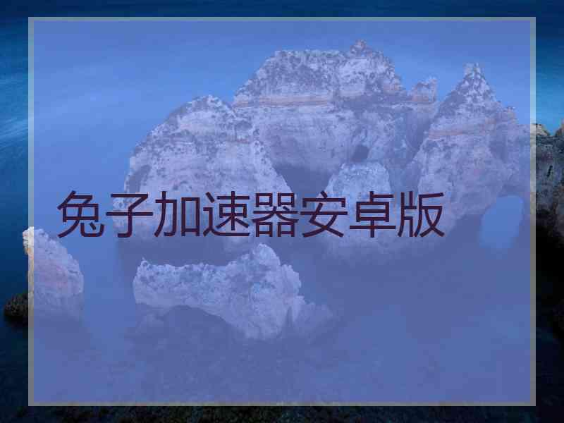 兔子加速器安卓版