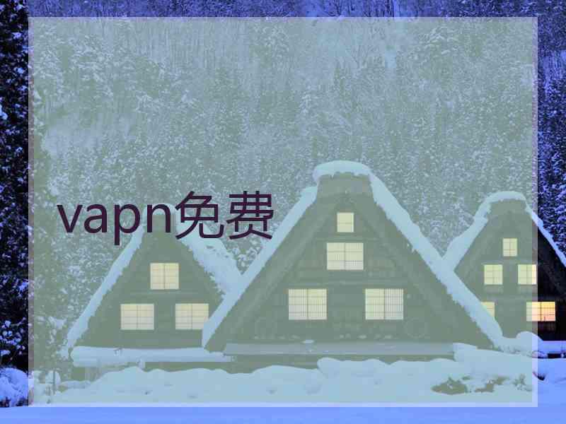 vapn免费