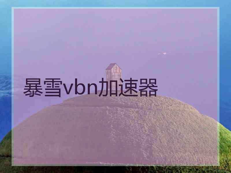 暴雪vbn加速器