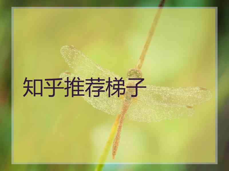 知乎推荐梯子