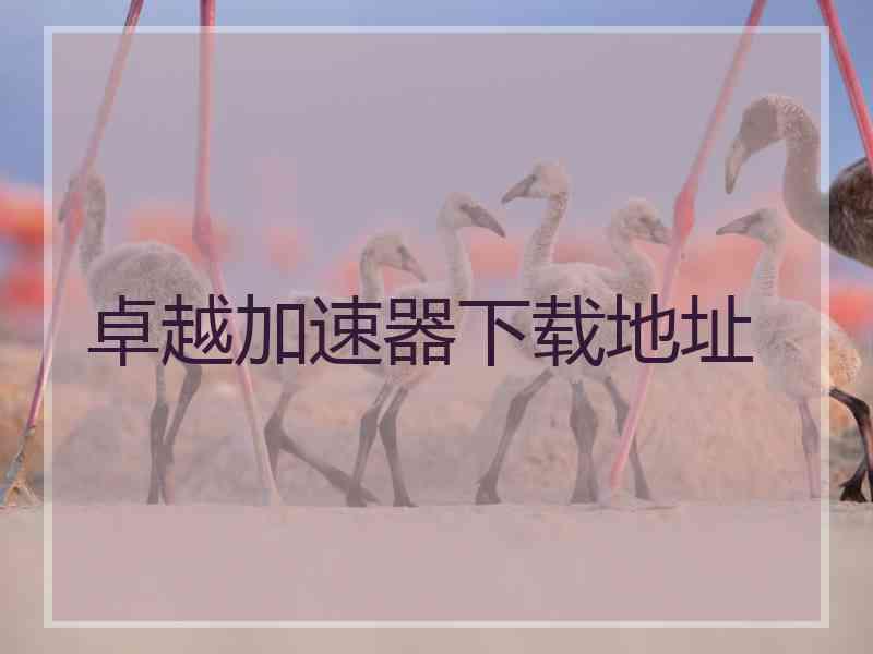 卓越加速器下载地址