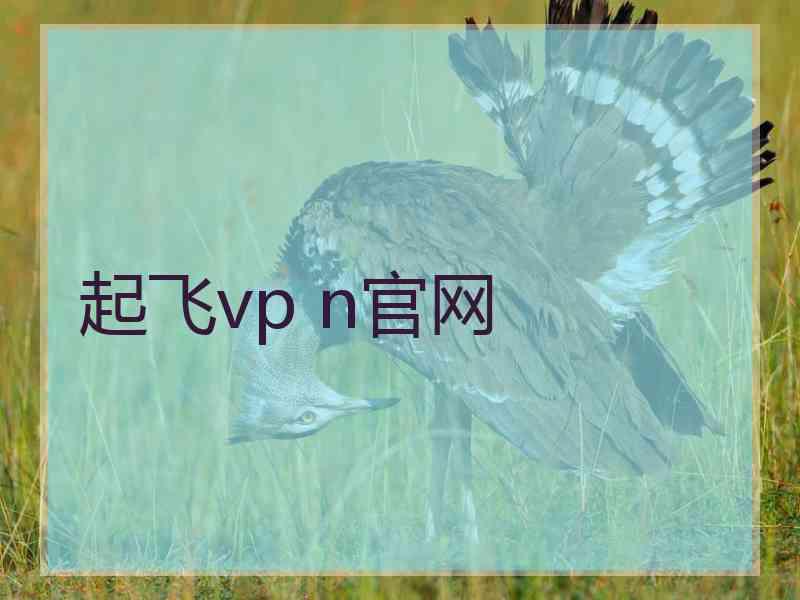 起飞vp n官网