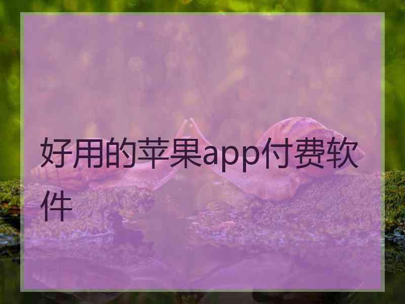 好用的苹果app付费软件