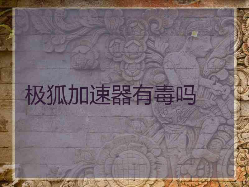 极狐加速器有毒吗