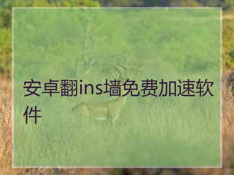 安卓翻ins墙免费加速软件