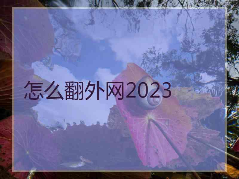 怎么翻外网2023