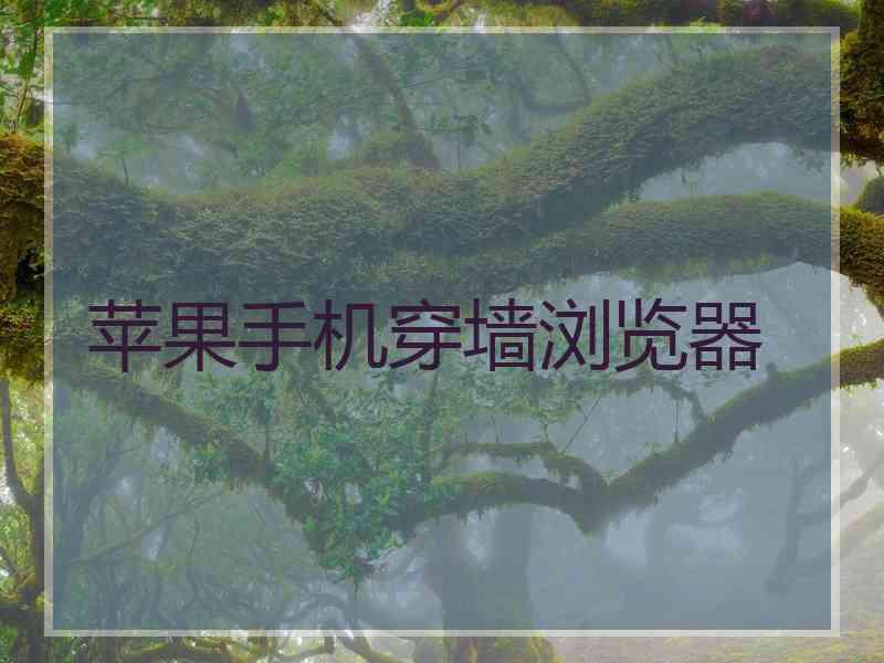苹果手机穿墙浏览器