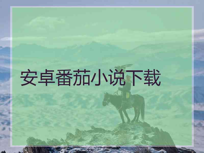 安卓番茄小说下载