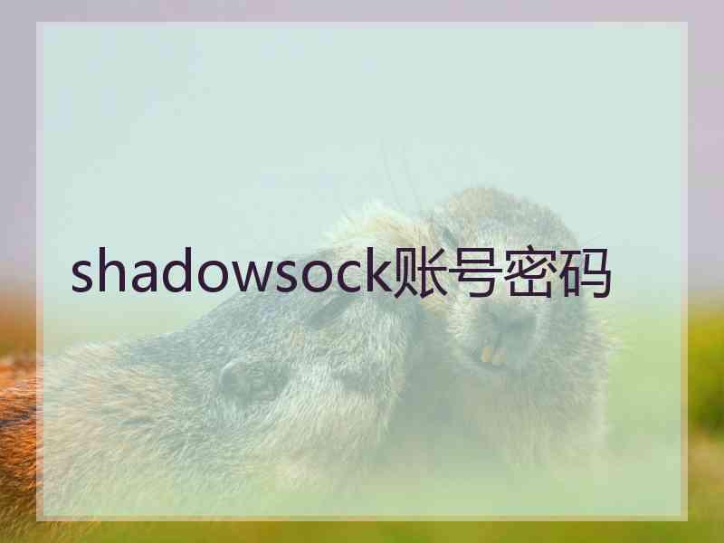 shadowsock账号密码