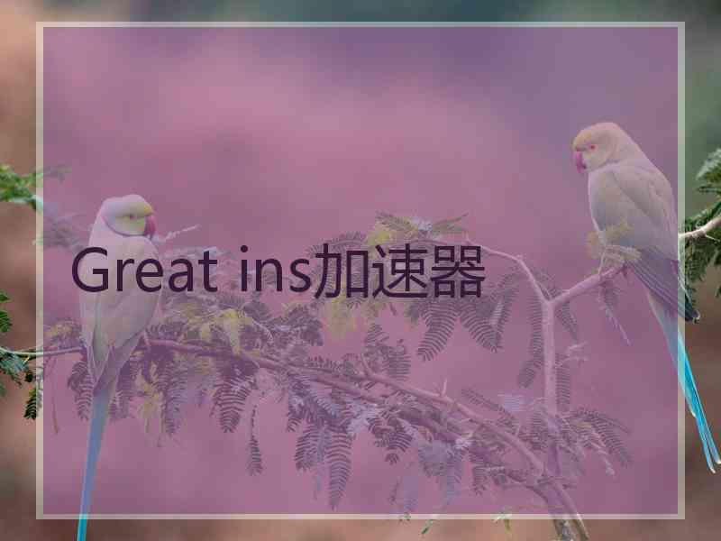 Great ins加速器