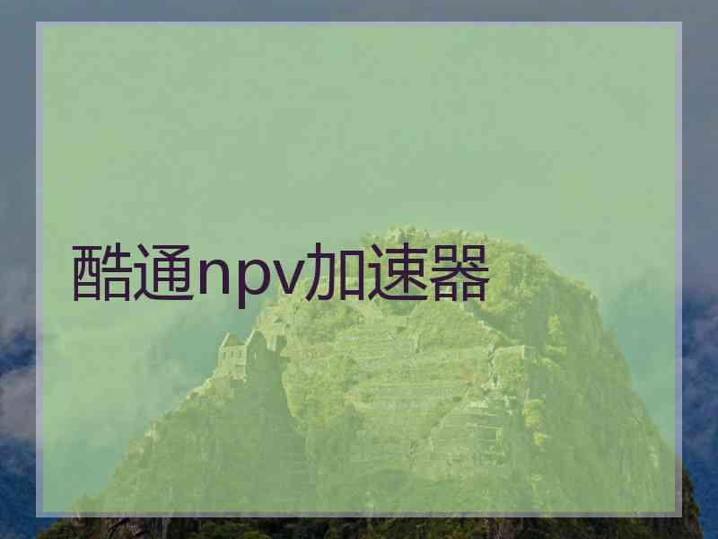 酷通npv加速器