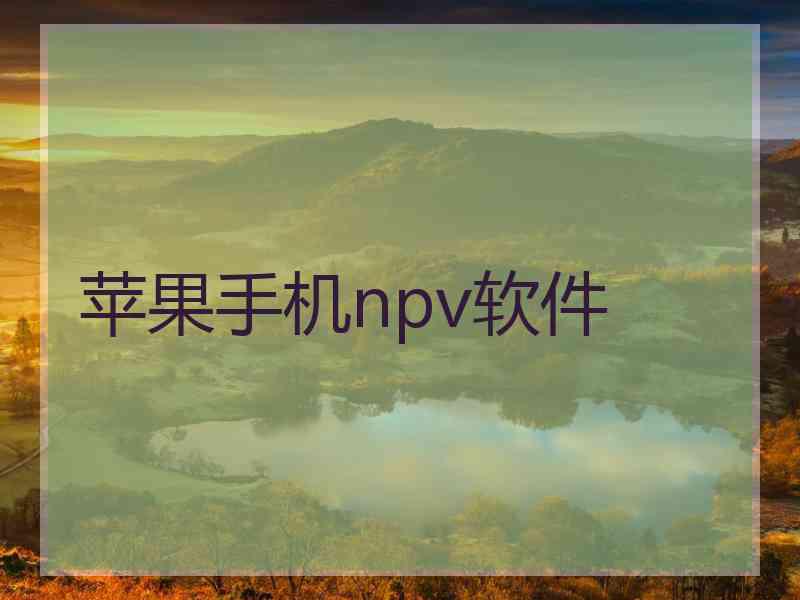 苹果手机npv软件