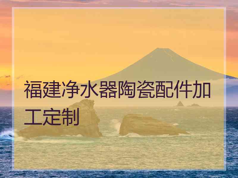 福建净水器陶瓷配件加工定制