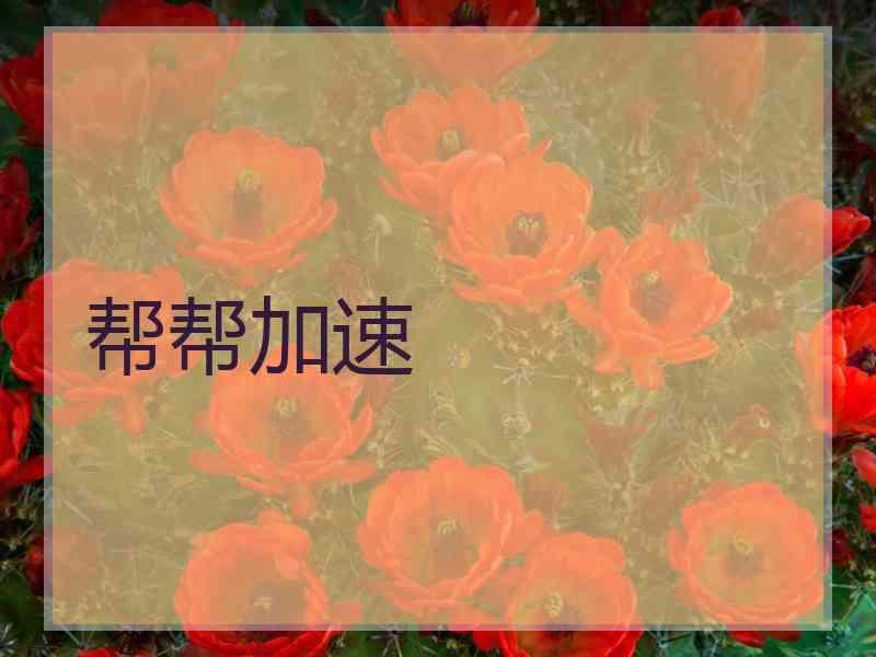帮帮加速