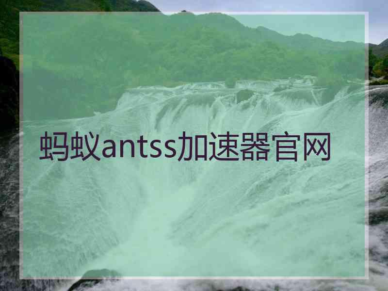 蚂蚁antss加速器官网