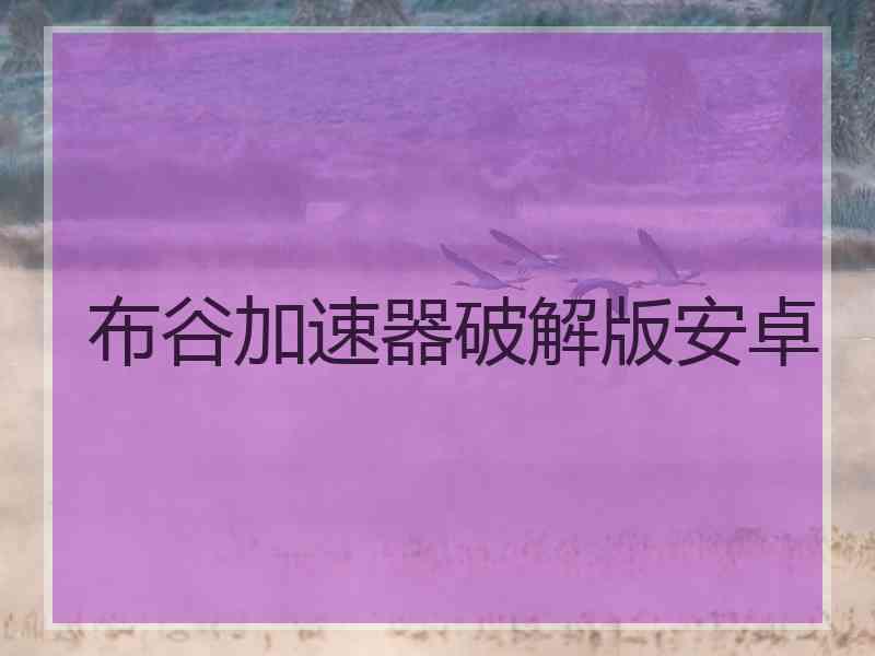 布谷加速器破解版安卓
