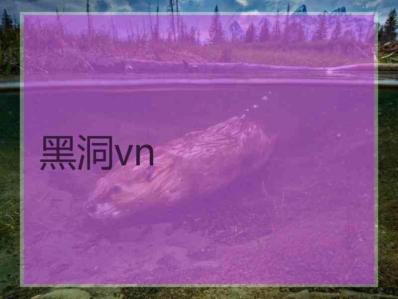 黑洞vn
