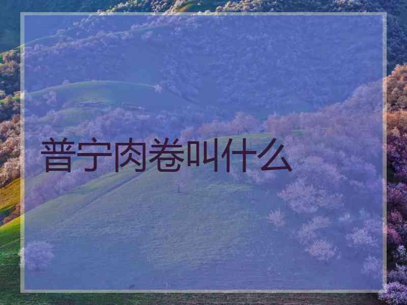 普宁肉卷叫什么