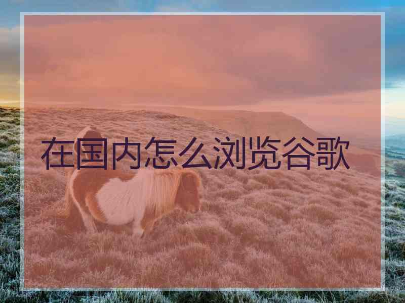 在国内怎么浏览谷歌