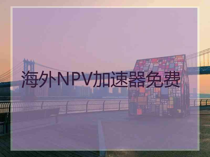 海外NPV加速器免费