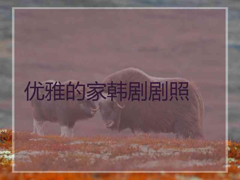优雅的家韩剧剧照