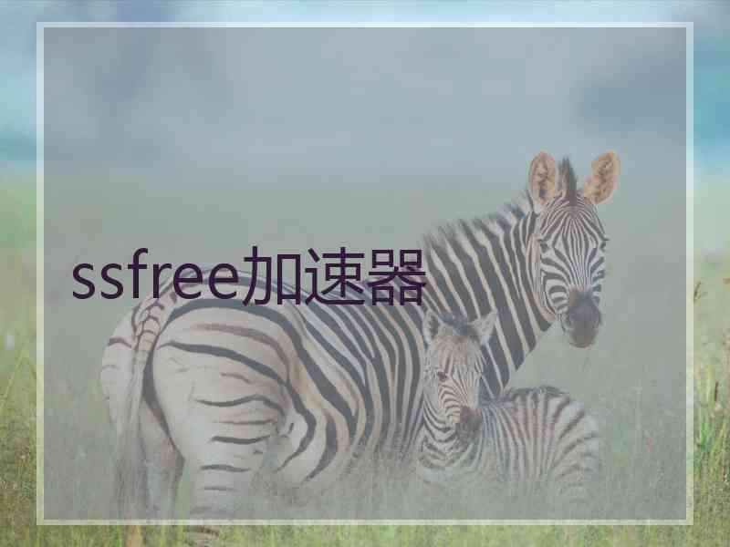 ssfree加速器