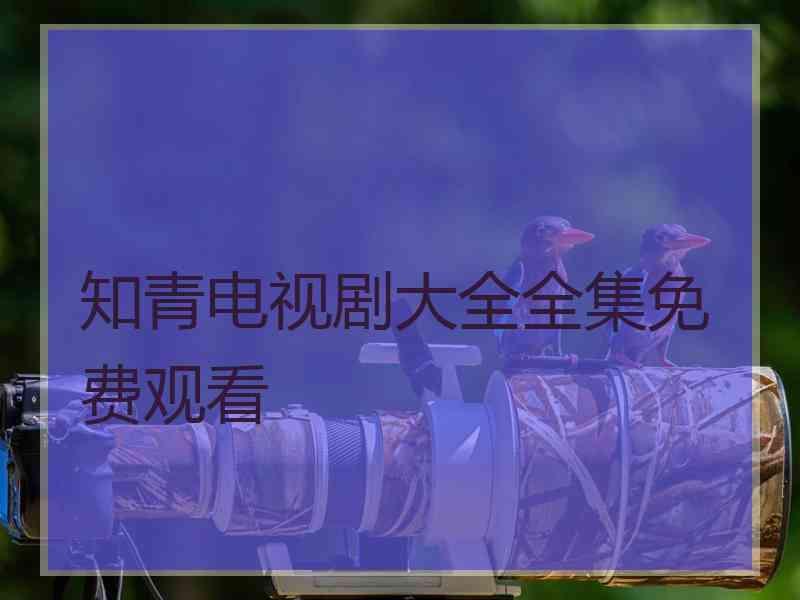 知青电视剧大全全集免费观看