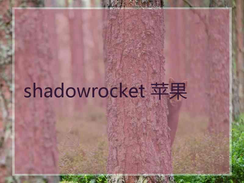 shadowrocket 苹果
