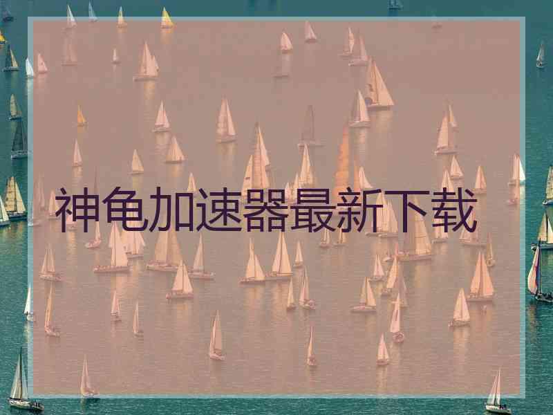 神龟加速器最新下载