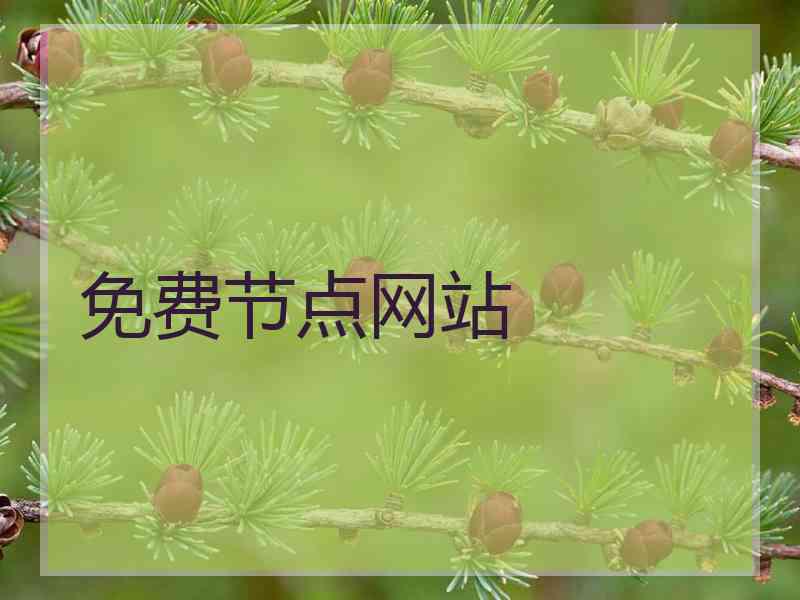 免费节点网站