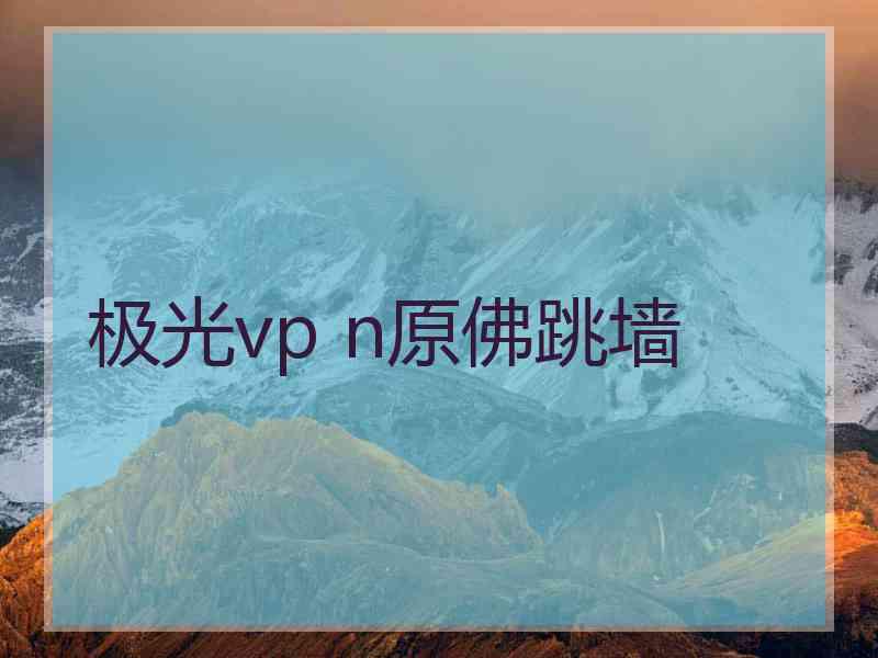 极光vp n原佛跳墙