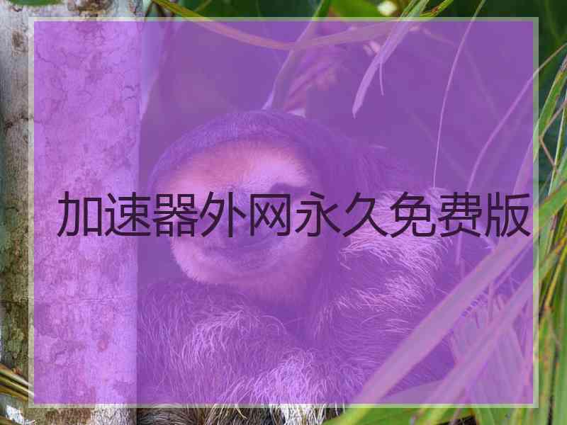 加速器外网永久免费版