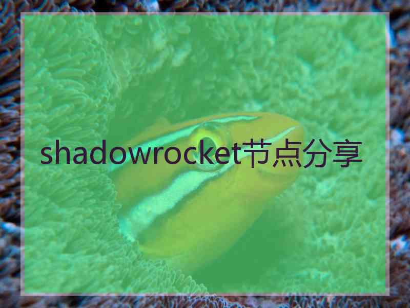 shadowrocket节点分享