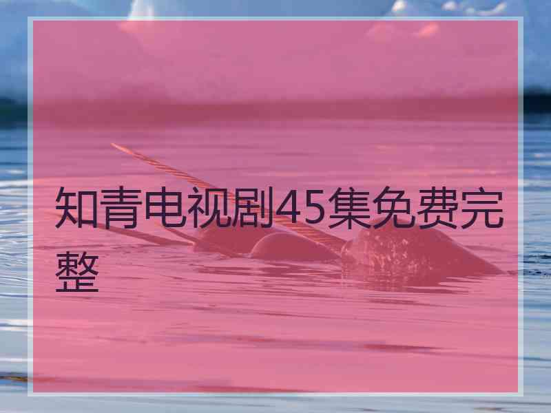 知青电视剧45集免费完整