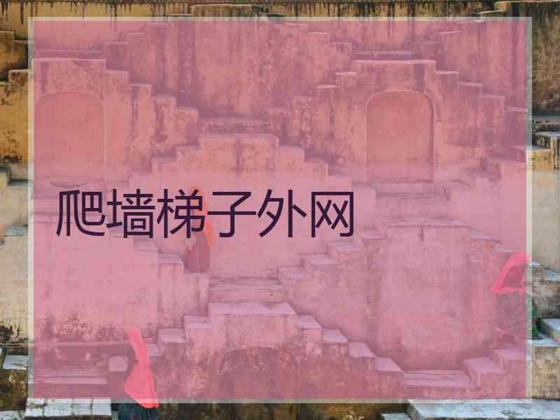 爬墙梯子外网