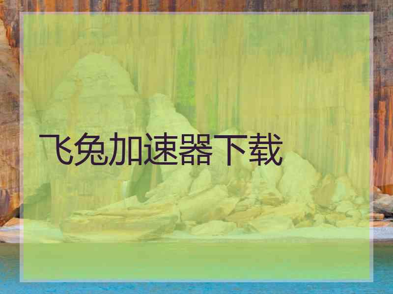 飞兔加速器下载