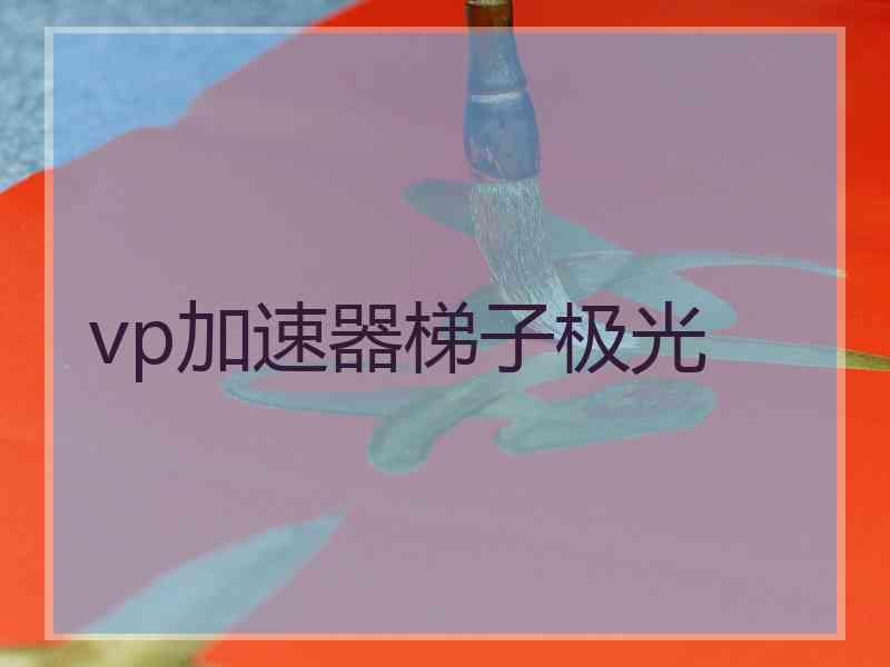 vp加速器梯子极光