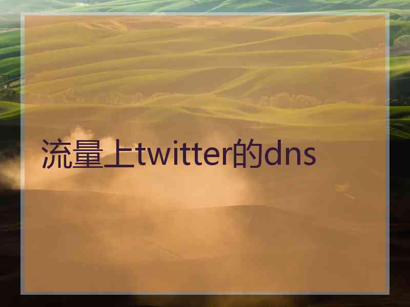 流量上twitter的dns