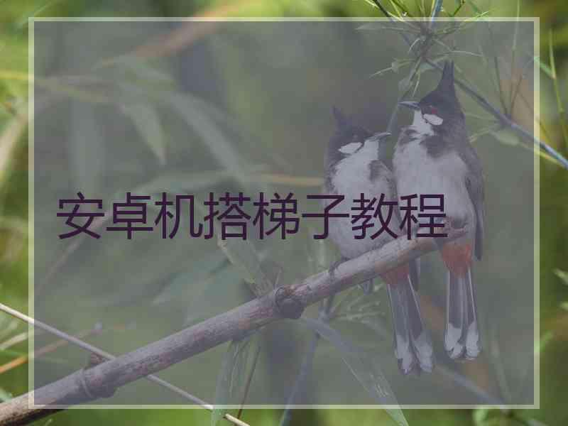 安卓机搭梯子教程