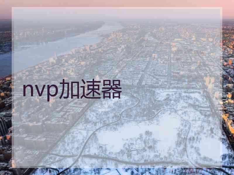 nvp加速器