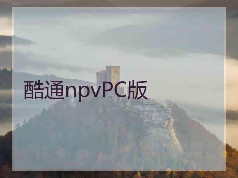 酷通npvPC版