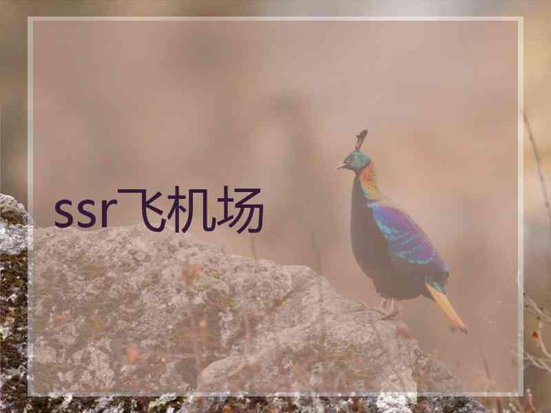ssr飞机场