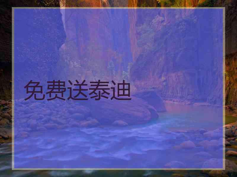 免费送泰迪