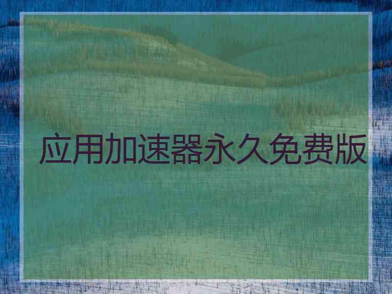应用加速器永久免费版