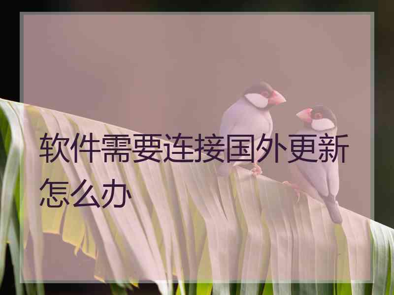 软件需要连接国外更新怎么办