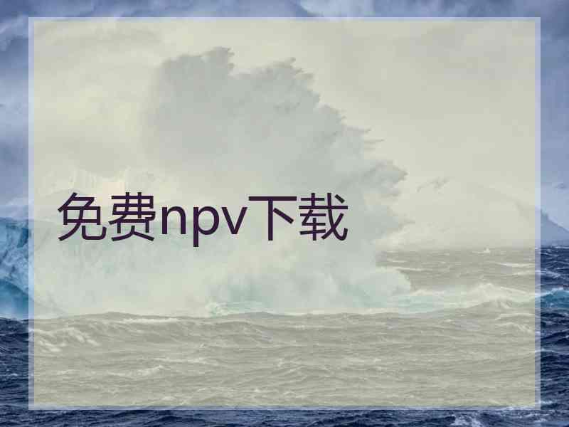 免费npv下载